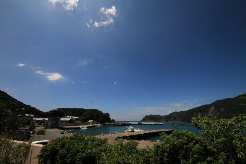 宇久須港の昼７月３０日