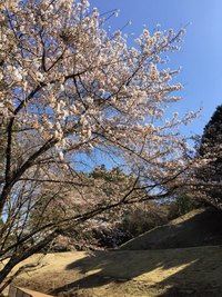 虹の郷