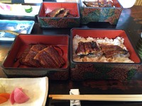 打ち合わせ　と　うなぎ　　浜松　
