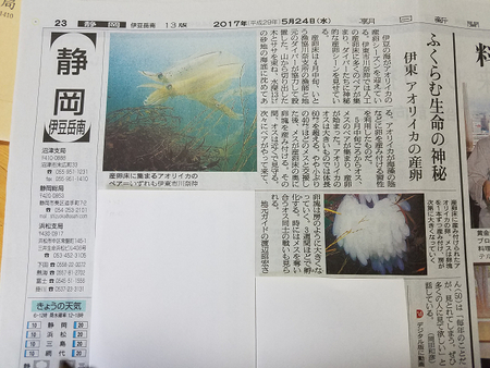 雨ですね・・・・