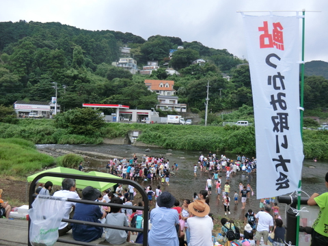 河津川アユつかみ取り大会が開催されました