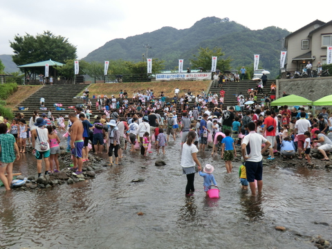 河津川アユつかみ取り大会が開催されました