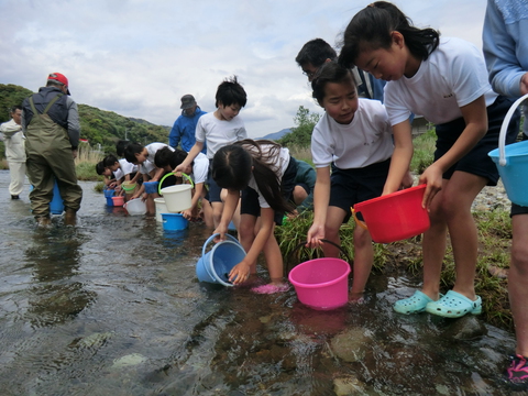 小学生のアユ体験放流を行いました