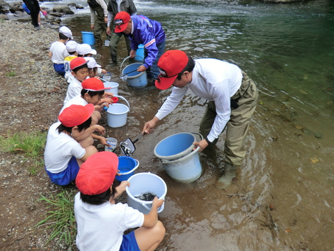 地元小学生のアユ体験放流実施