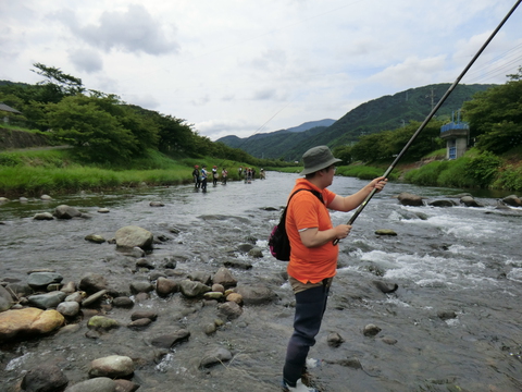 2014ｼｰｽﾞﾝ　河津川アユ釣果情報　6月21日　&アユ友釣り教室