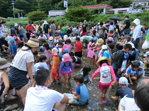 8月15日河津川アユつかみ取り大会が開催されます