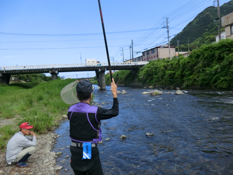 2019河津川アユ試験採補結果