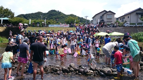 河津川アユつかみ取り大会が行われました