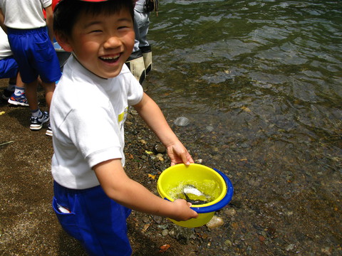 小学生によるアユ体験放流