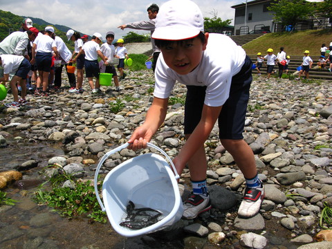 小学生によるアユ体験放流