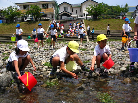 小学生によるアユ体験放流