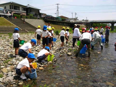 小学生によるアユ体験放流