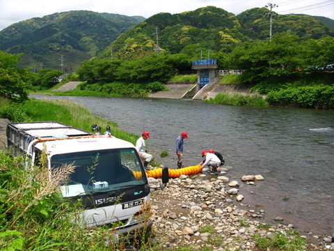 小学生によるアユ体験放流