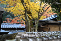 気づきをいただいた　中山道