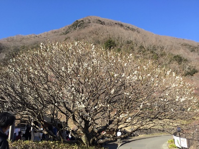 よい天気が続きます