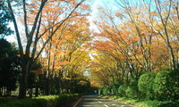2013年11月24日