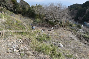 鎮守の森につづく里山整備