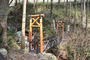 鎮守の森につづく里山整備
