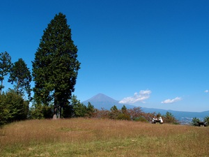 富士市はたご池から見る富士山