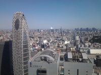 東京出張