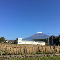 内と外 2017/10/26 11:43:35