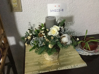 2018年12月11日