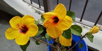 2019年10月20日