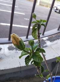2020年05月30日