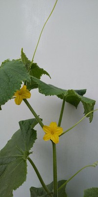 2020年06月10日
