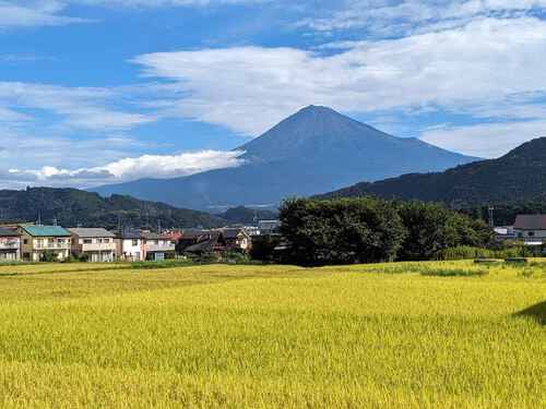 今朝の富士山