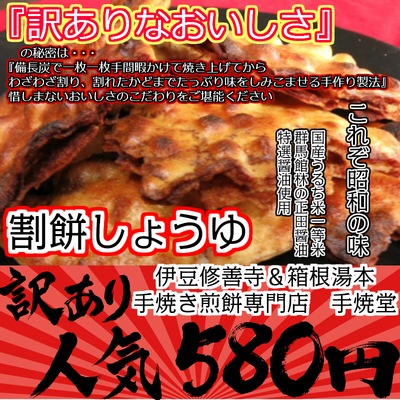 ブログ特典始めました！〜21日より菊まつり開催中〜
