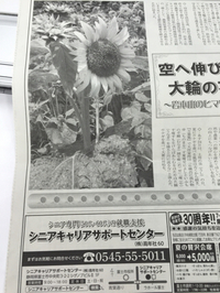 ○○ニュース