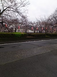 まだまだ、練習中です。 2016/04/12 20:14:29