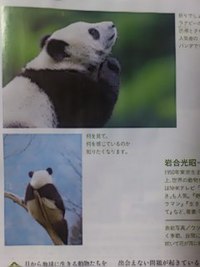 親という字 2016/04/22 21:55:11