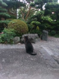 先を読む 2016/09/07 21:09:50