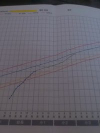 毎月一回の学習実績グラフ