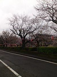 ブログはじめました 2016/04/12 12:04:55