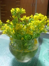 禊 2016/05/05 22:01:17