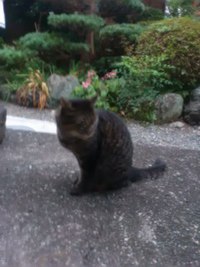 察知 2016/11/22 16:35:49
