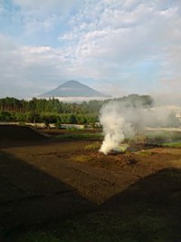 三つのごはん 2016/10/12 20:50:34
