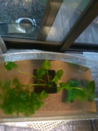 そろそろ夏も終わり、秋 体験学習への準備開始！ 2017/09/19 22:03:46