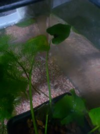 秋、体験学習への準備。パート2。 2017/09/20 19:56:42