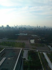 娘の結婚式で東京へ