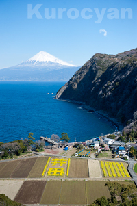 富士山三昧、最後は…