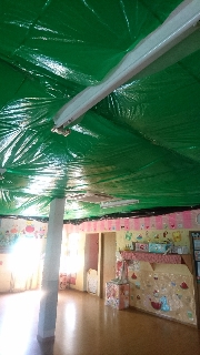 夏休みコース