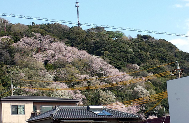 4月4日　 “旬のスタイル”を着こなそう！