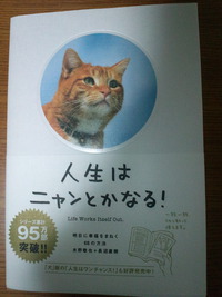 人生はニャンとかなる！
