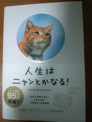 くすのき鍼灸院のカラダ元気ブログ 人生はニャンとかなる