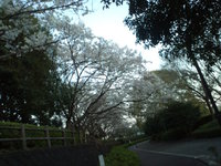 ・・・さえなければ、良い季節