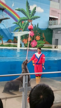 研修旅行